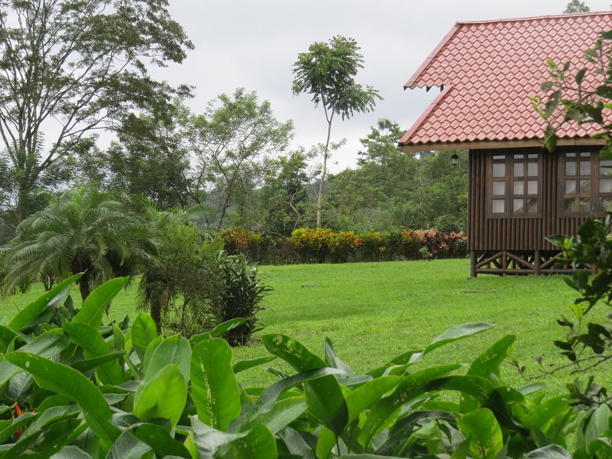 Cabana Rodeada De Naturaleza En San Carlos Quesada  Exterior photo