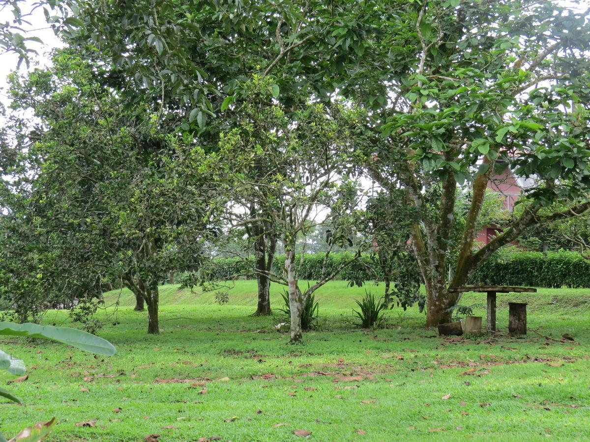 Cabana Rodeada De Naturaleza En San Carlos Quesada  Exterior photo